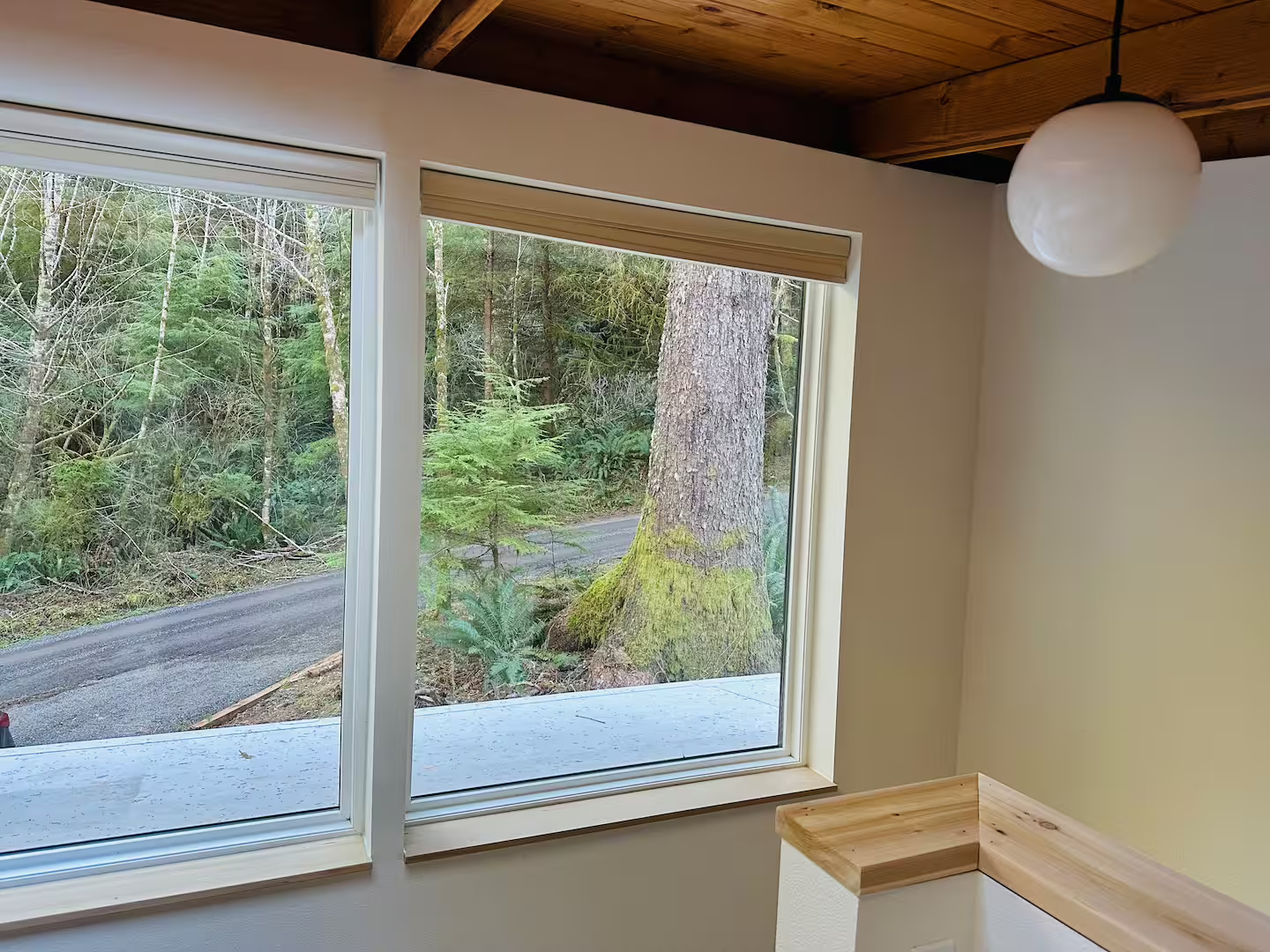 Interior view of a room with large windows showcasing a wooded outdoor scene with trees and greenery.