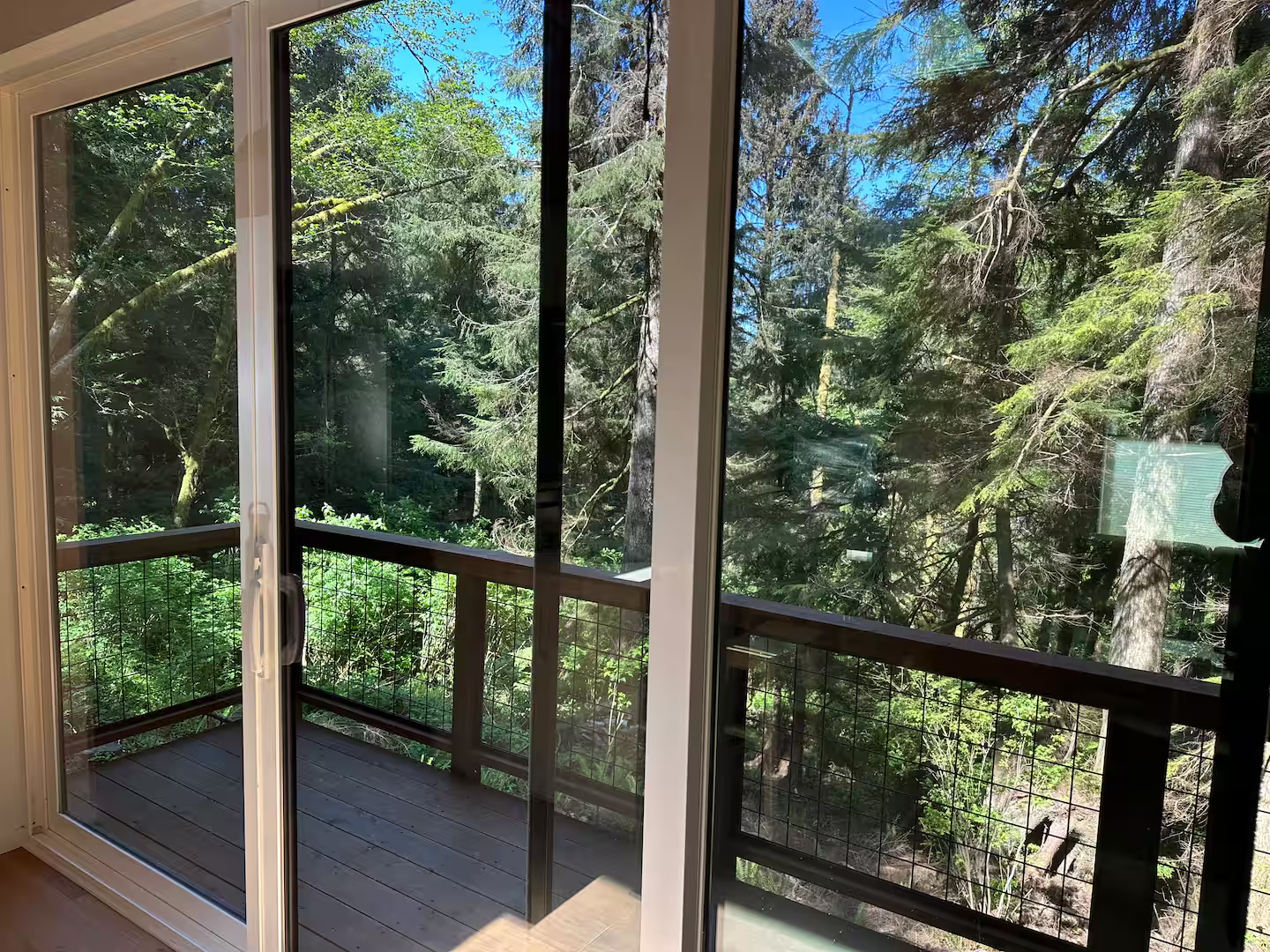 View from a sliding glass door showing a forested area with tall evergreen trees and dense green foliage.