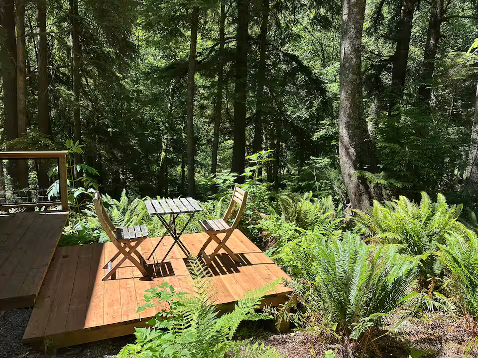 Small wooden deck with a table and two chairs in a forest setting surrounded by lush green ferns and tall trees.