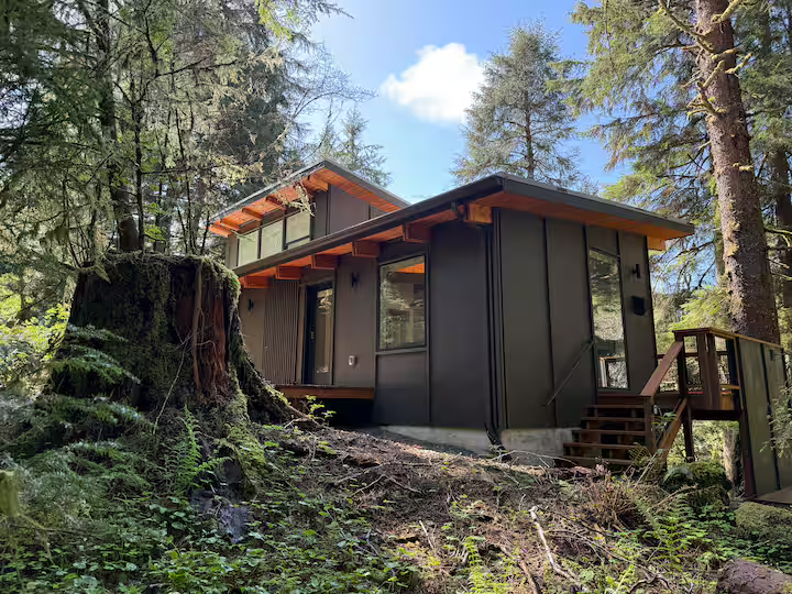 Modern black house with large windows situated in a forested area with tall trees, a wooden staircase, and a moss-covered tree stump nearby.