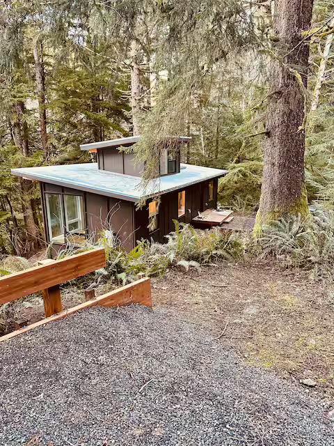 A small modern house with large windows, set among tall trees on a forested hillside.