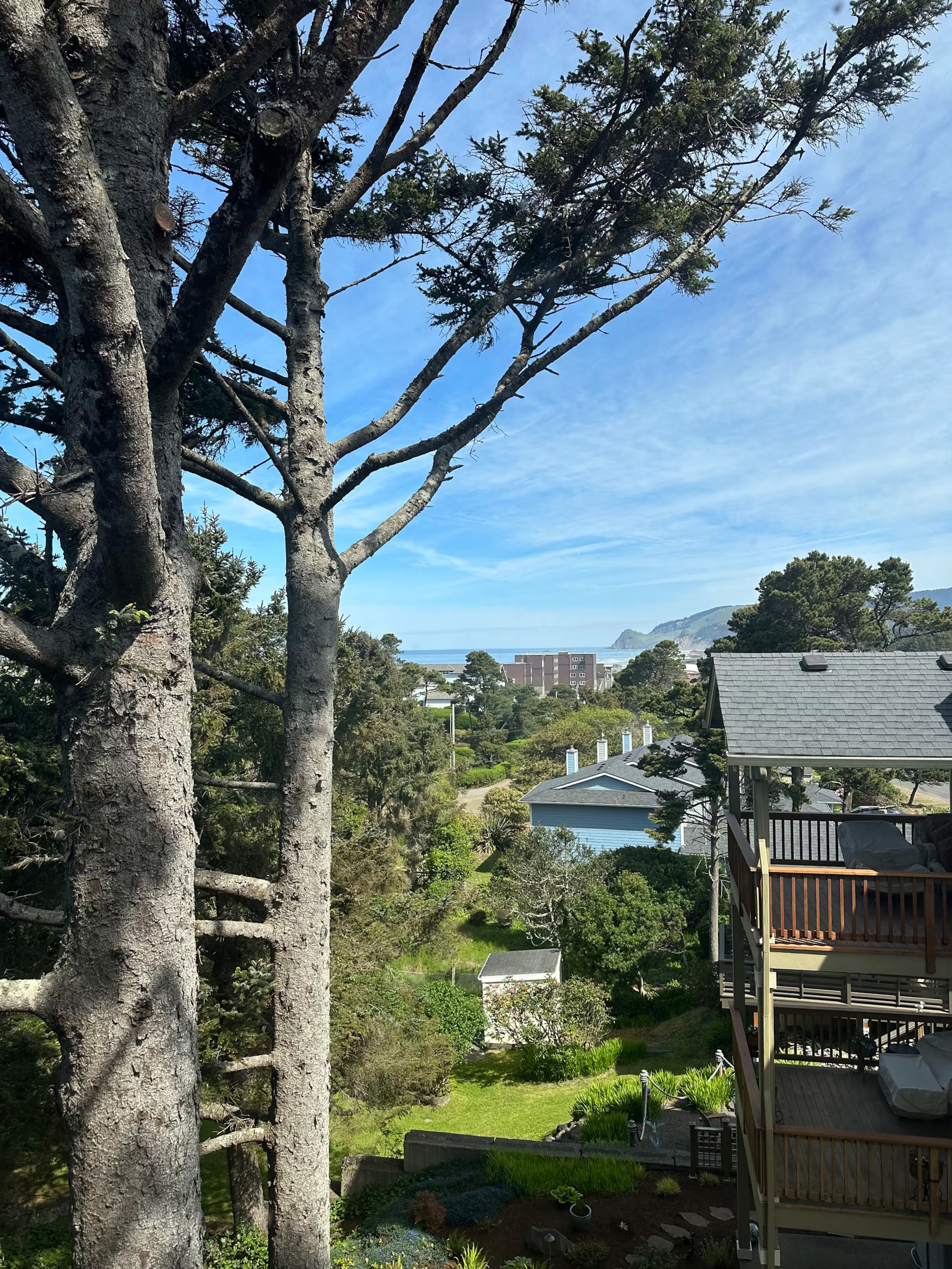 View of a backyard with trees, a grassy lawn, a small shed, and houses near the coast with the ocean and hills in the background under a blue sky with wispy clouds.