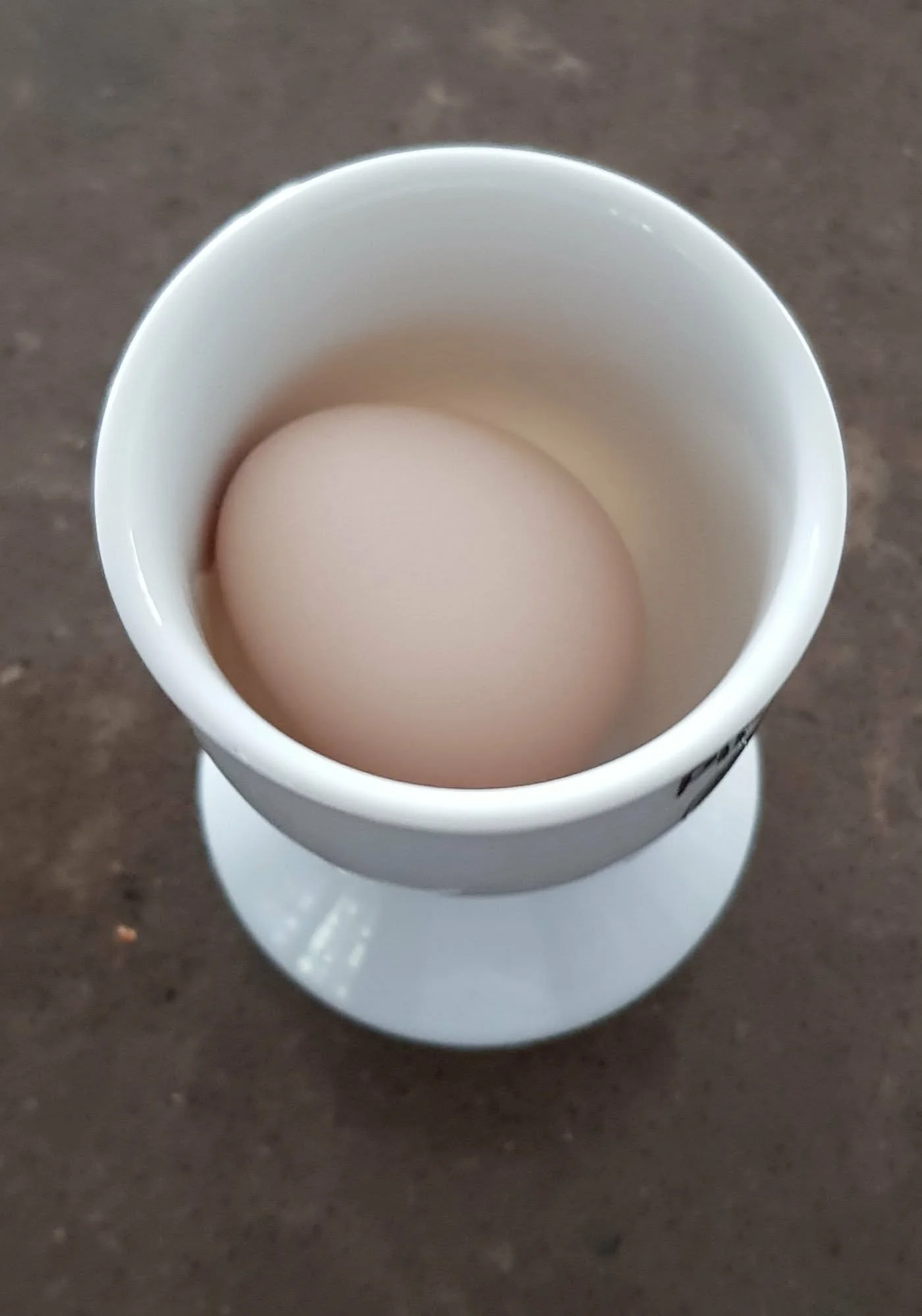 bantam egg in egg cup.jpg
