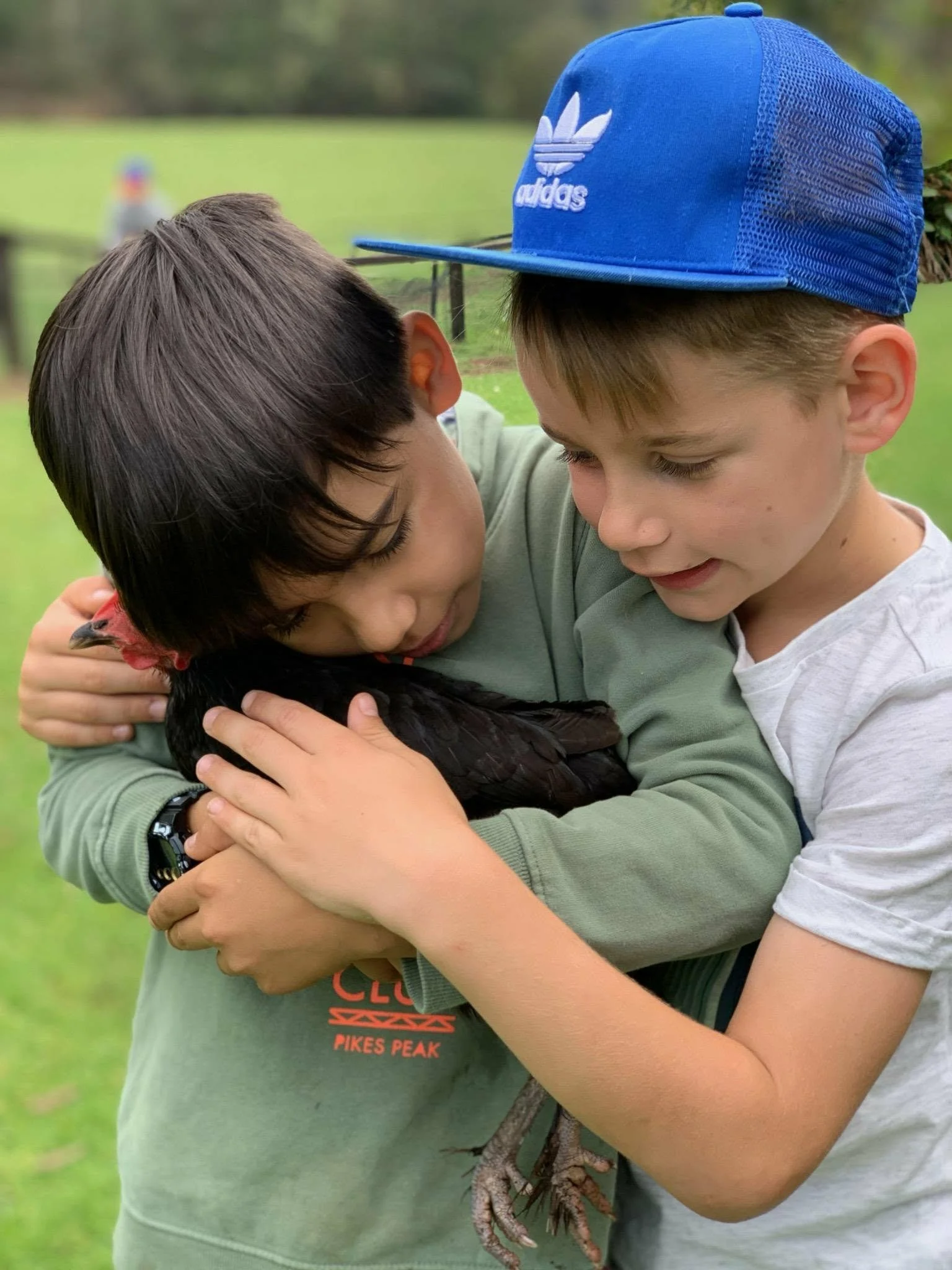 Duke and Brody hugging a chook.jpg
