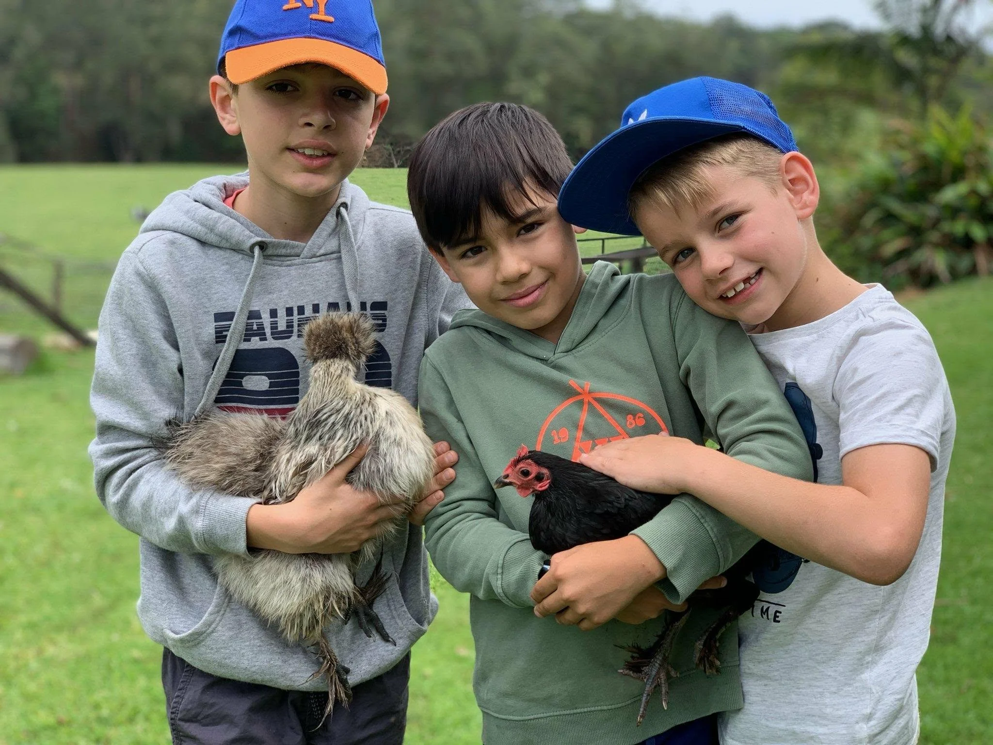 Duke Ashton and Brody with chooks.jpg