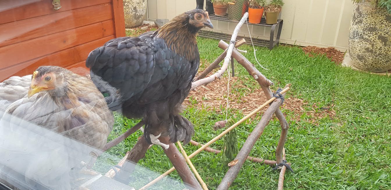 View from our window.jpg