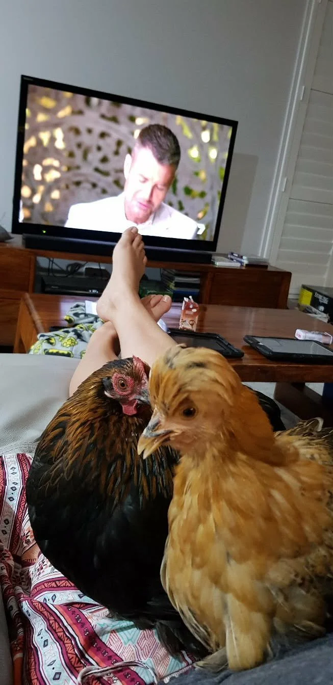 Watching TV with the girls.jpg