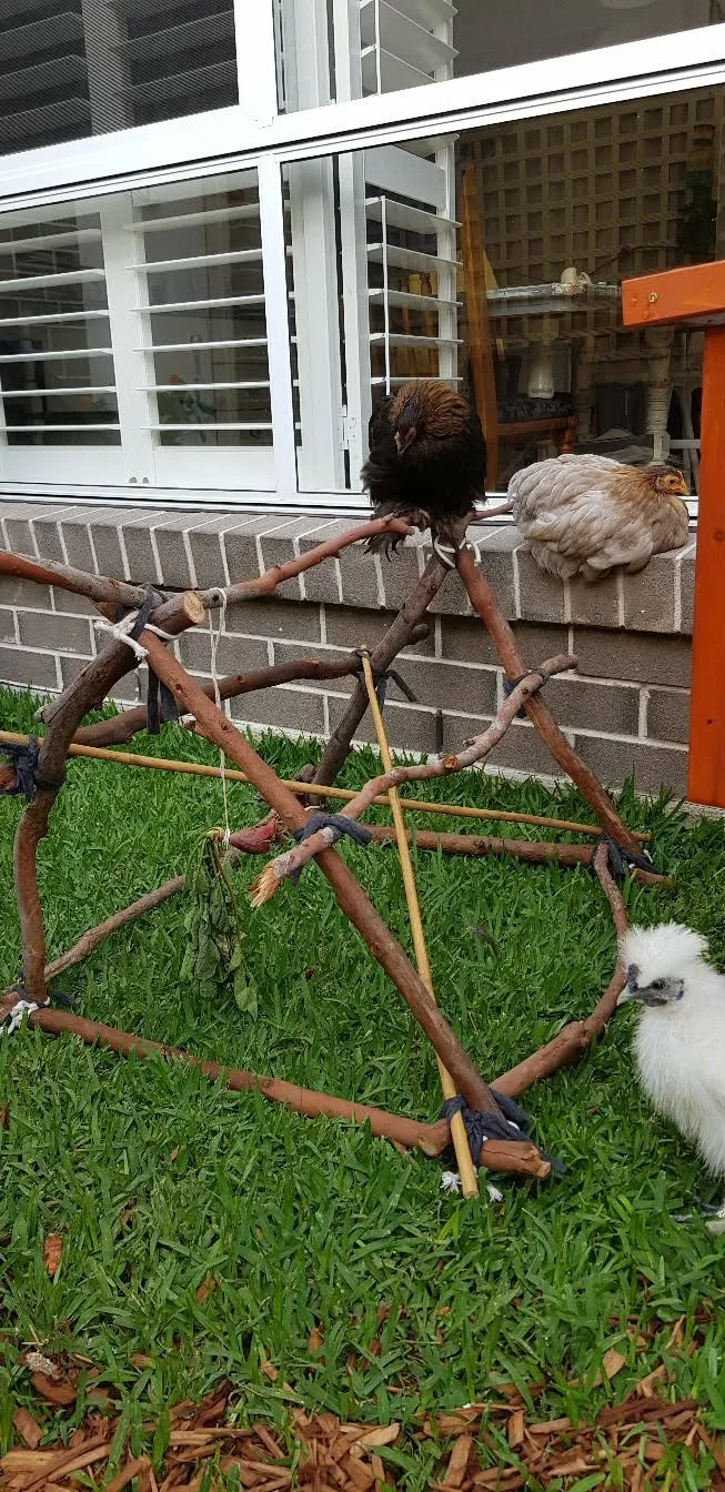 Bantam pyramid 2.jpg