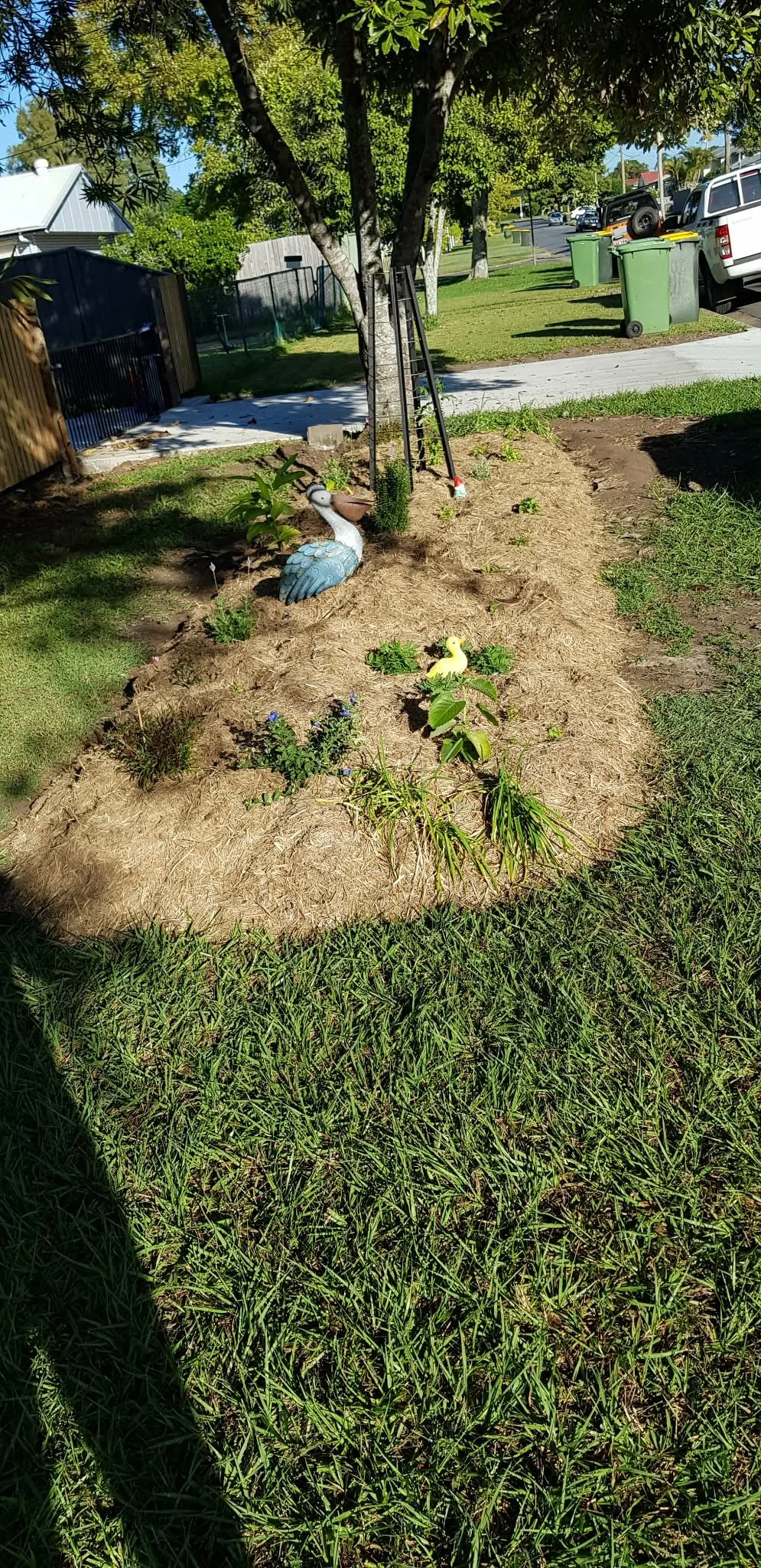 Community Garden.jpg