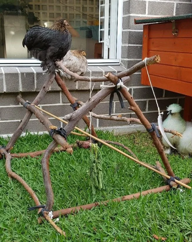Bantam pyramid.jpg
