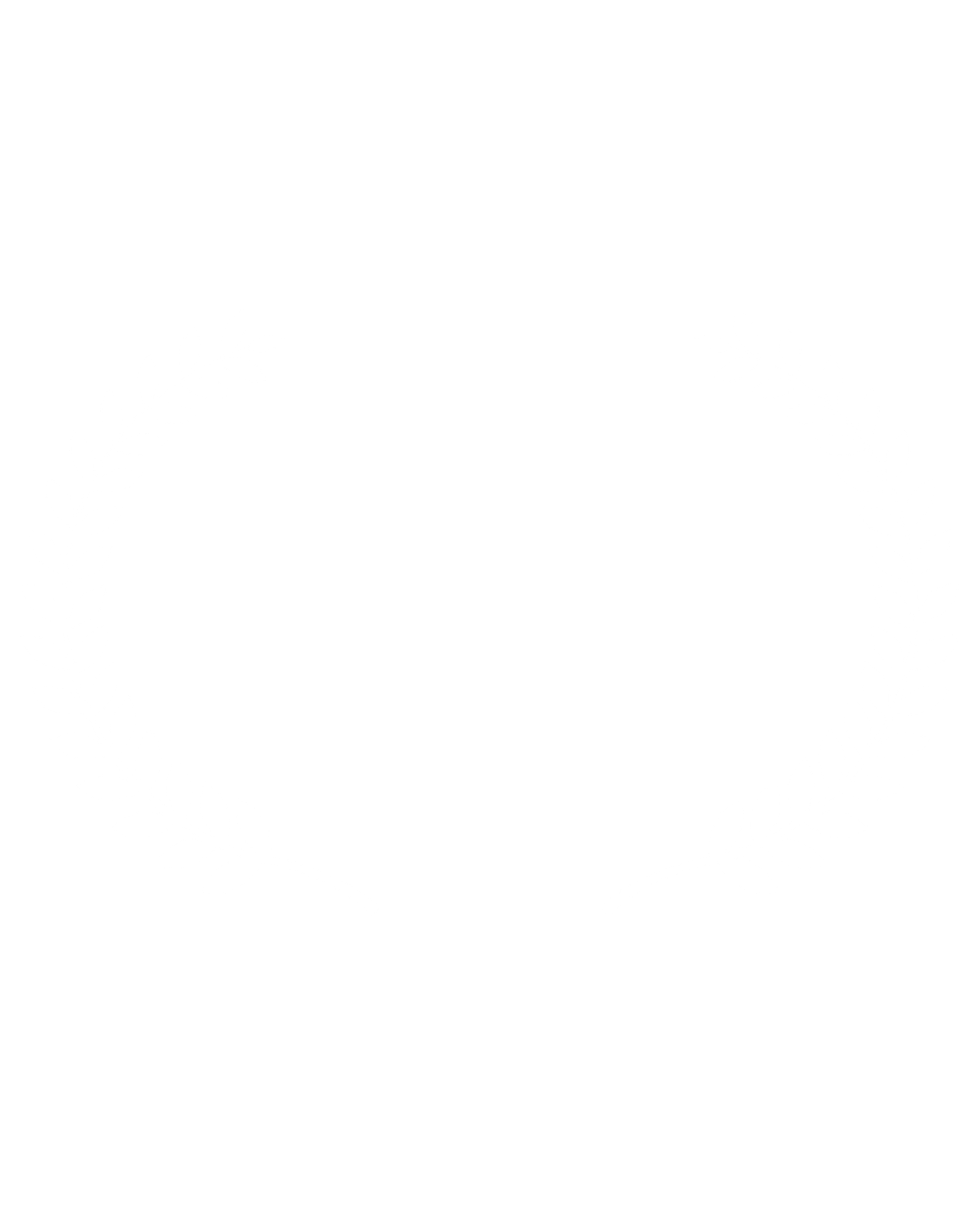 Black award badge with white laurel wreath, text reads "Award of Excellence, Delhi Shorts International Film Festival, 2017."