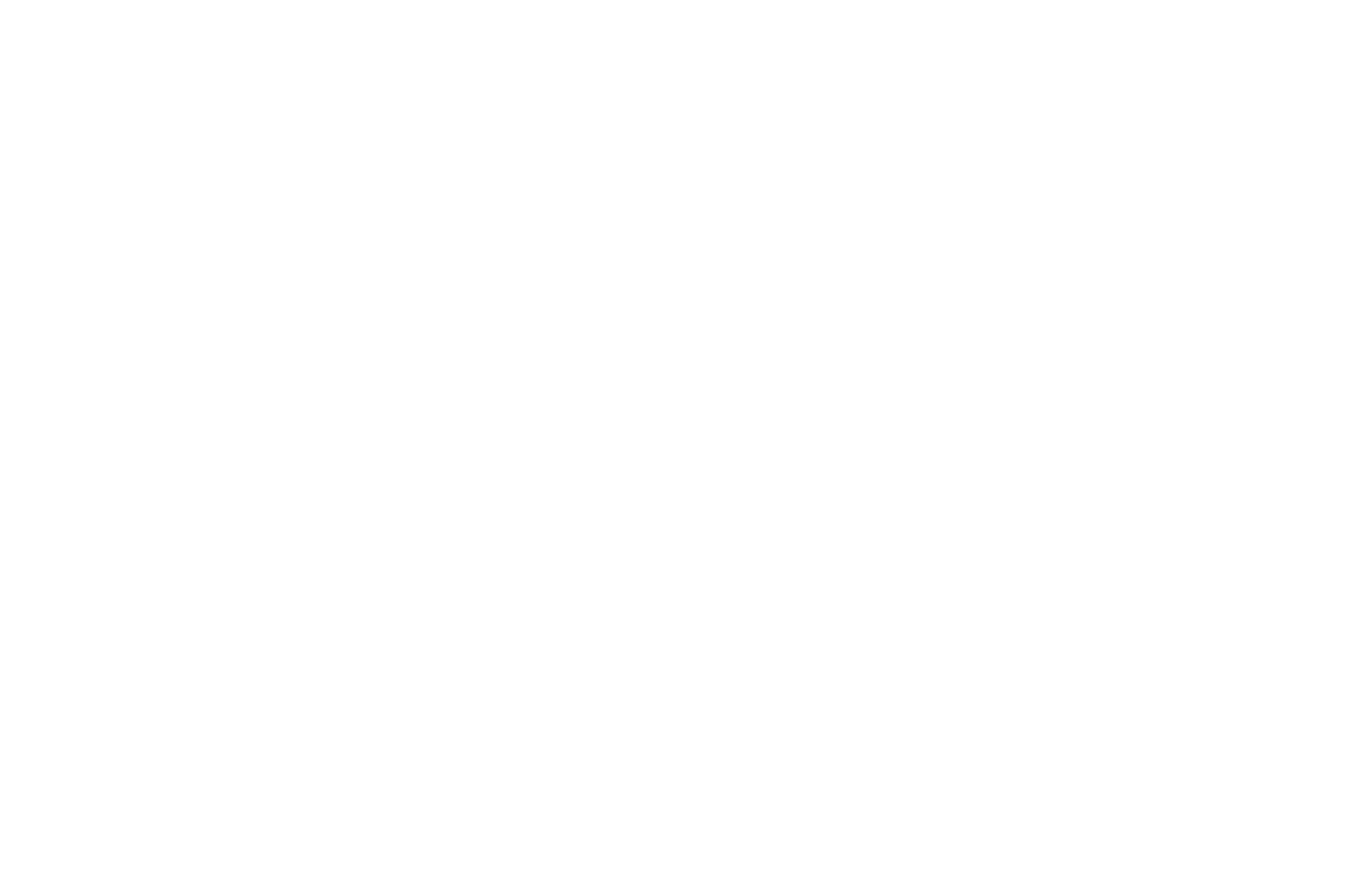 A black circular seal with white text and laurel branches surrounding the words 'Official Selection Black Cat Picture Show 2021'.