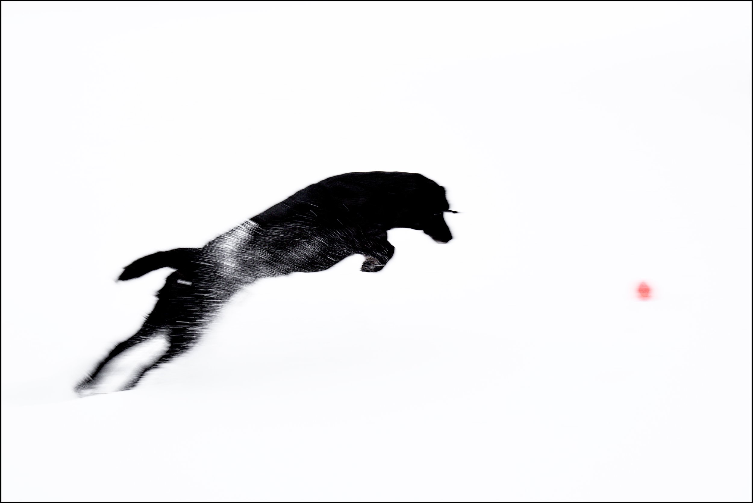 Luka - web.jpg