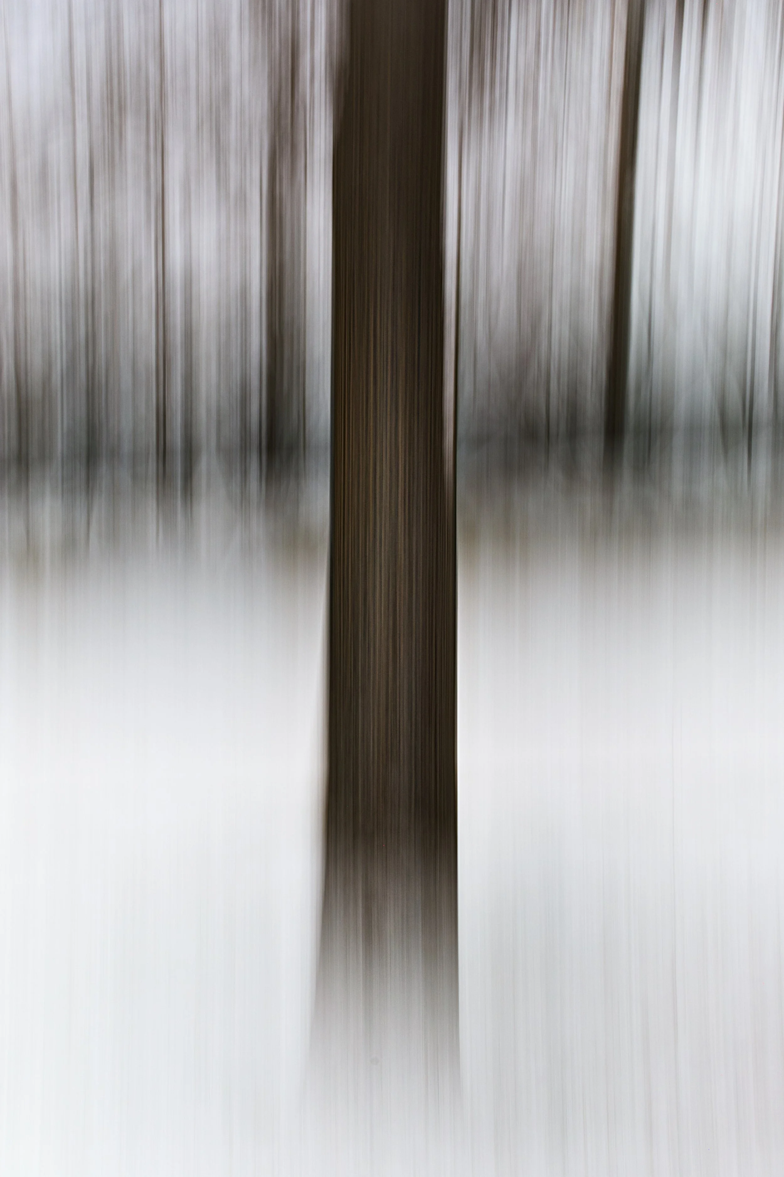 ICM 1.jpg