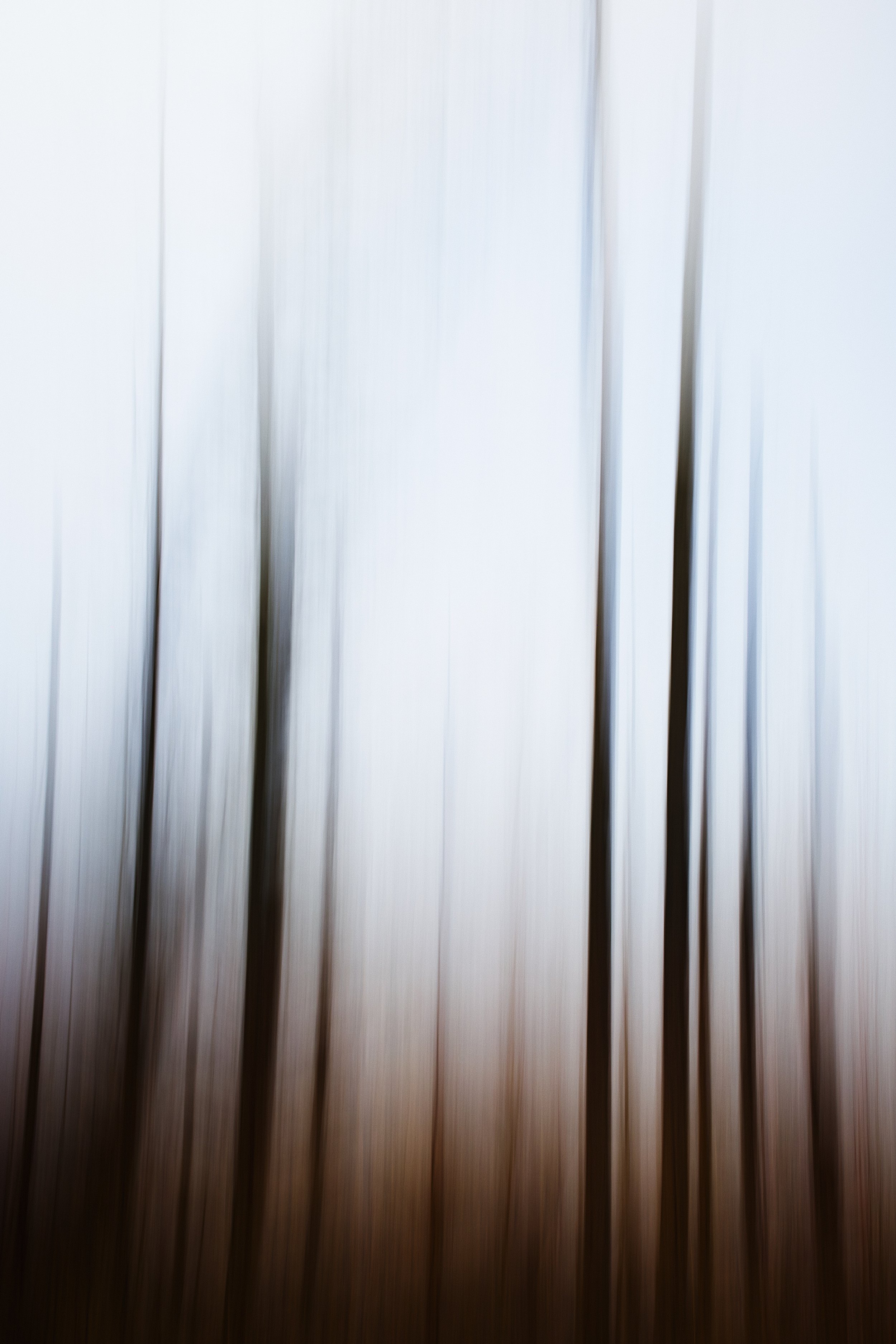 icm 3.jpg