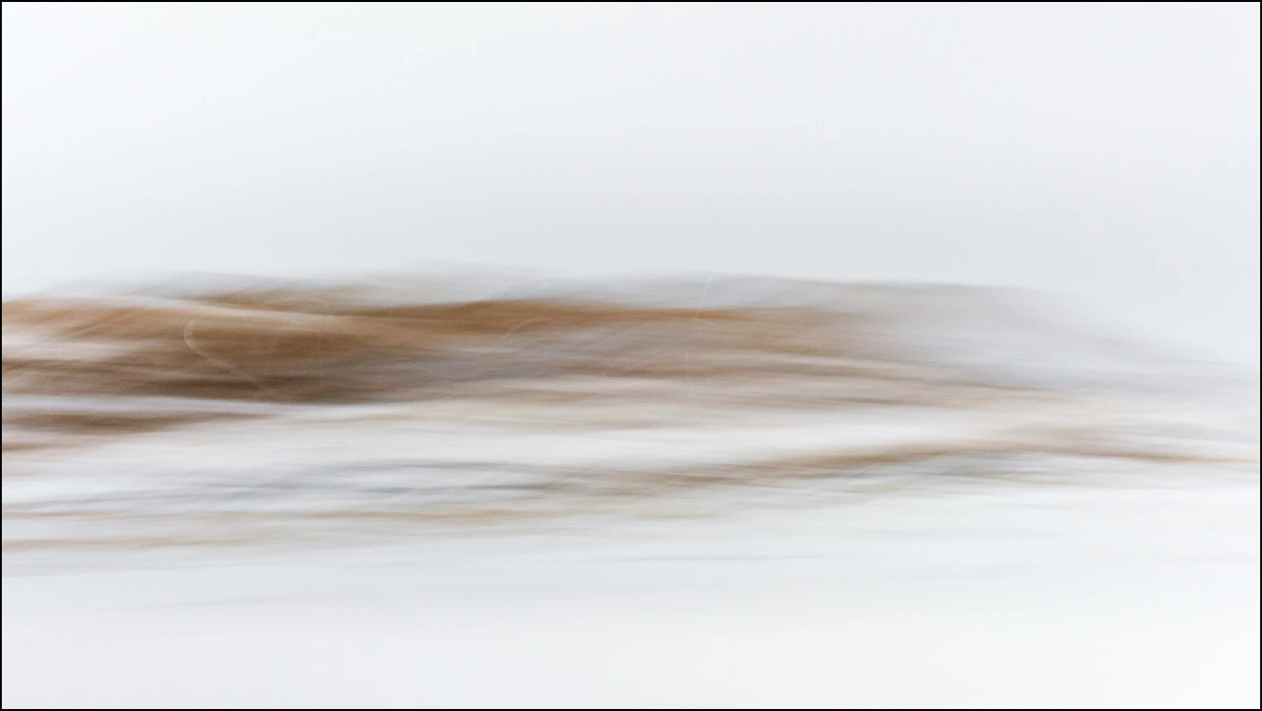 icm 4.jpg