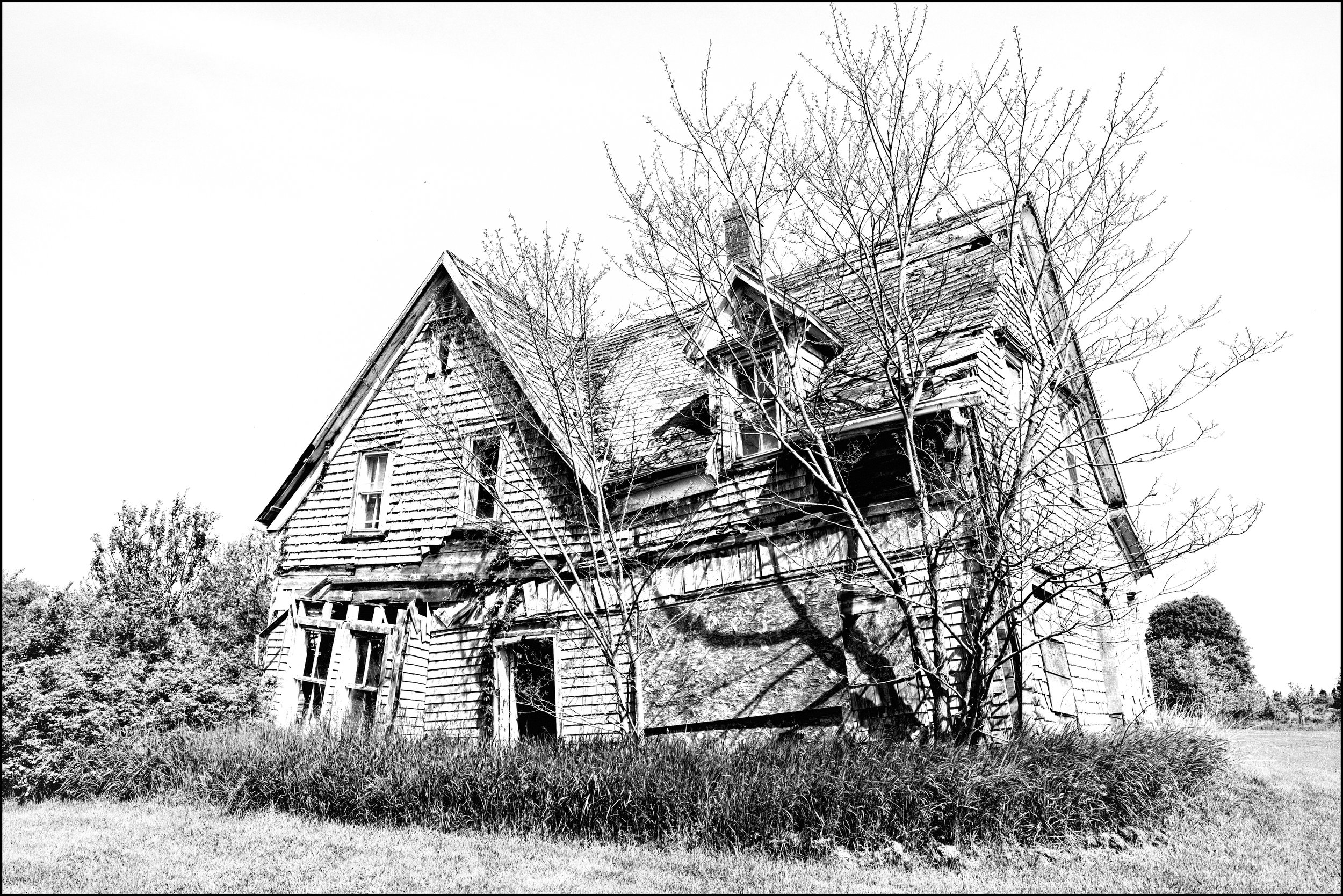 House.jpg