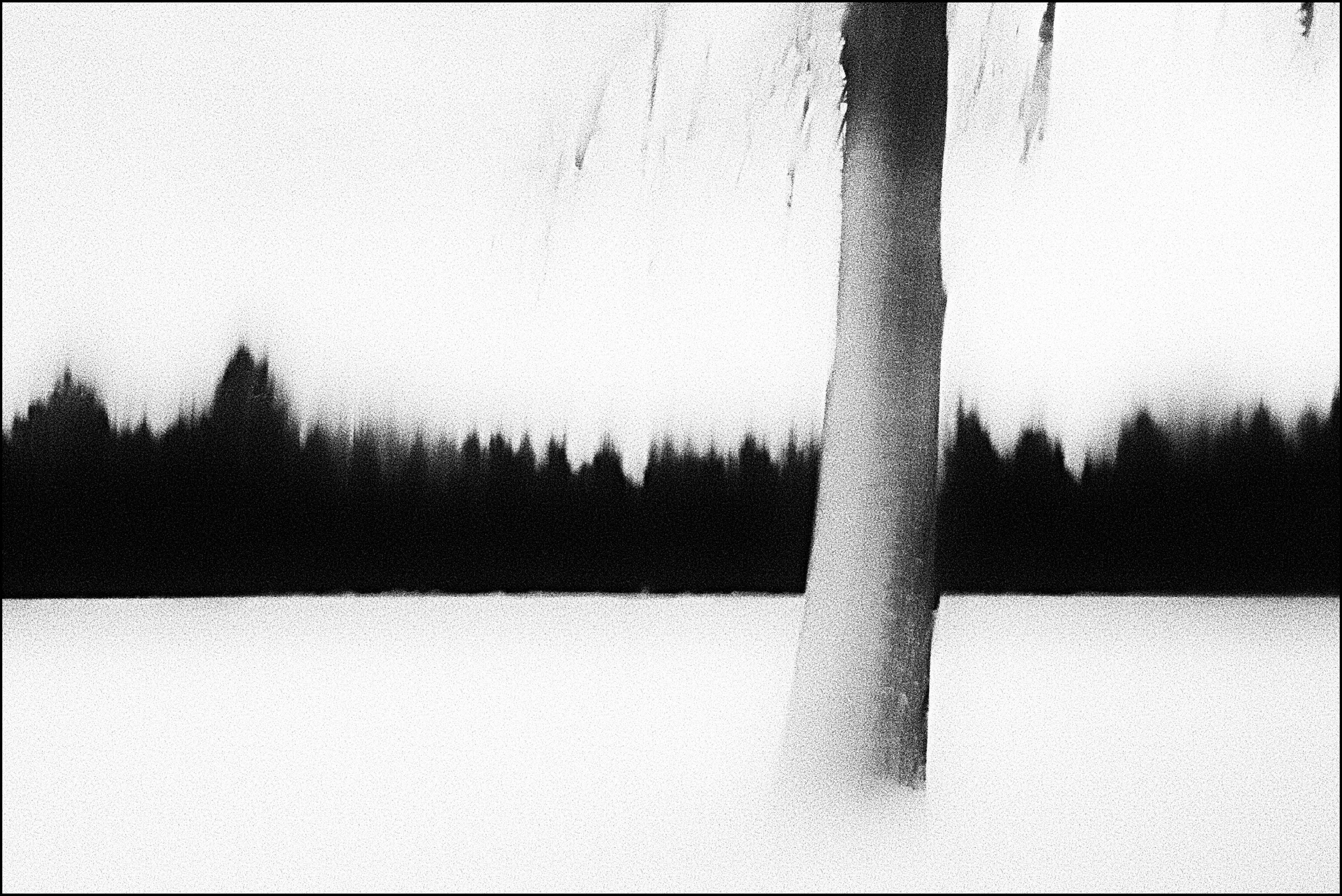 icm 2.jpg