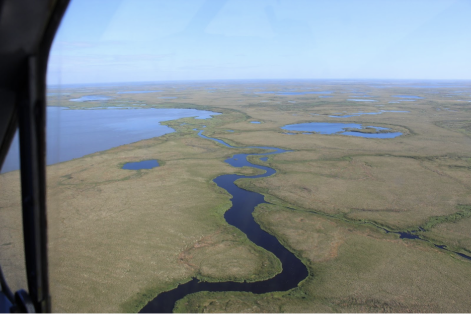 Alaska on Fire: the Impacts of Climate Change on the Alaskan Tundra