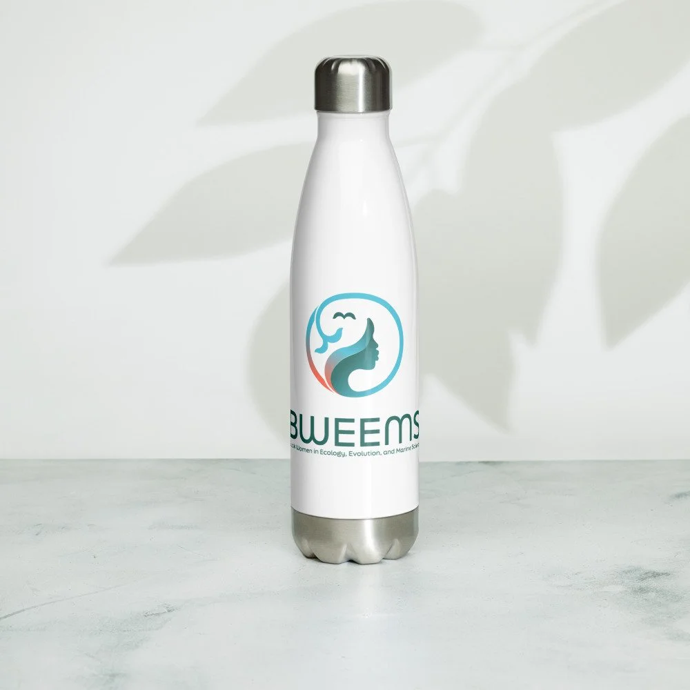 BWEEMS Stainless Steel Water Bottle