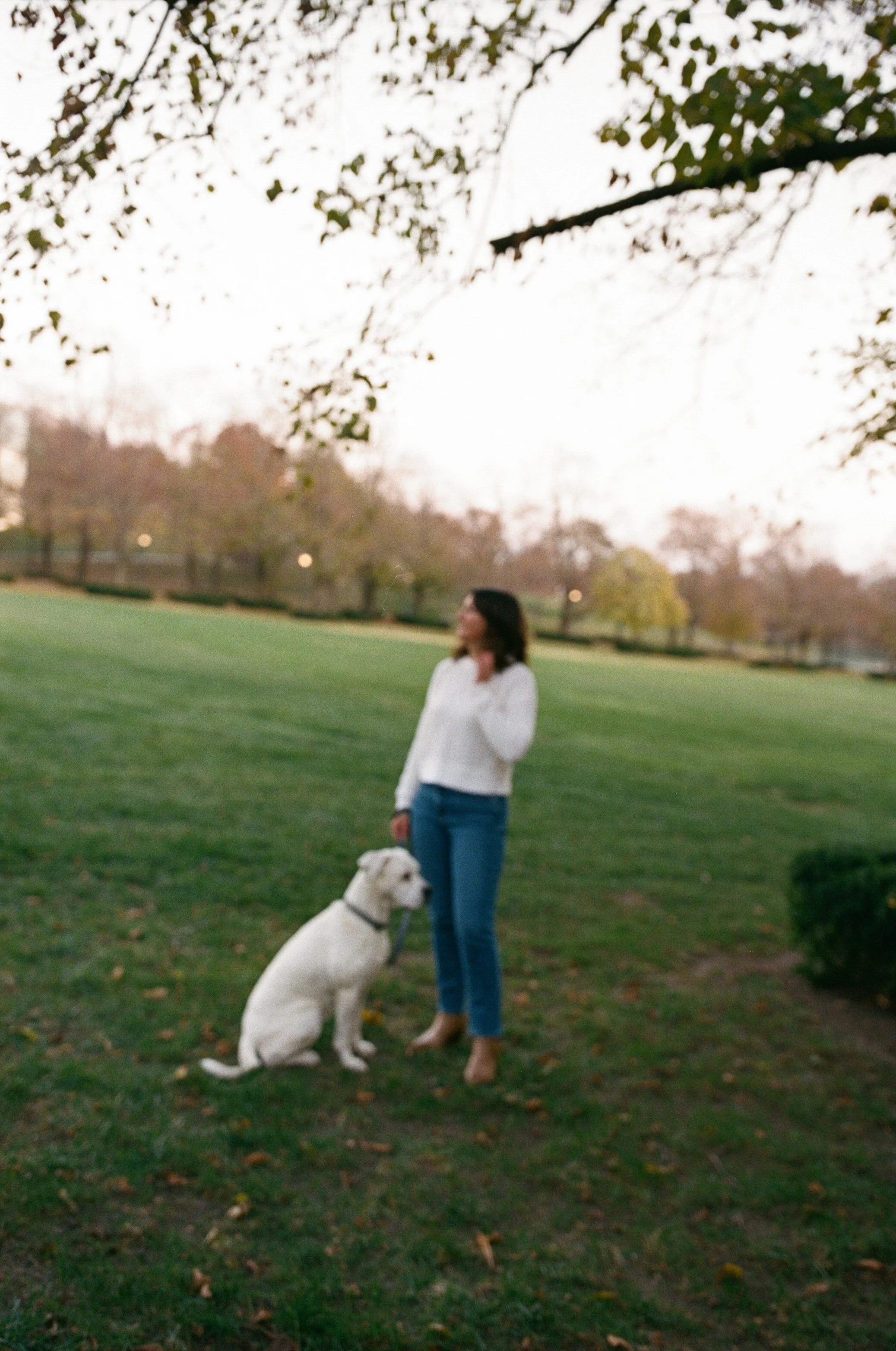A woman standing outdoors with her dog in a park during fall, trees with sparse leaves and a grassy field in the background.