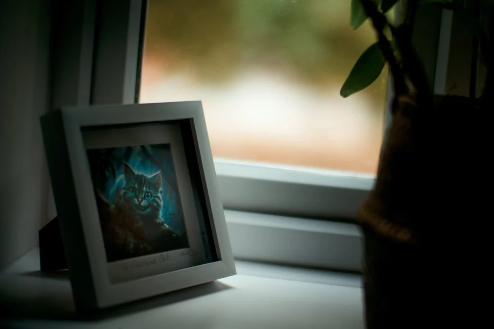 A framed illustration of a grinning blue Cheshire Cat in a white box frame on a windowsill, beside a potted plant in a woven seagrass basket, with a soft, rain-blurred window behind.