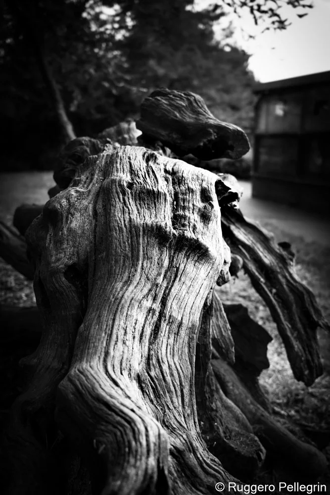Abstract in Nature