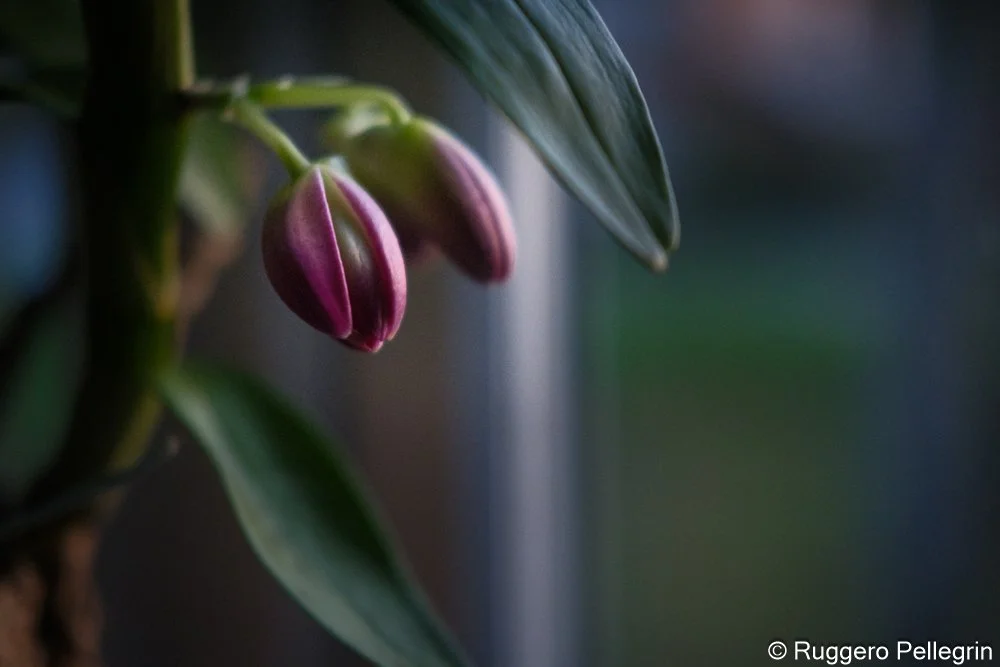 In the Morning 1 - a short photo journey
