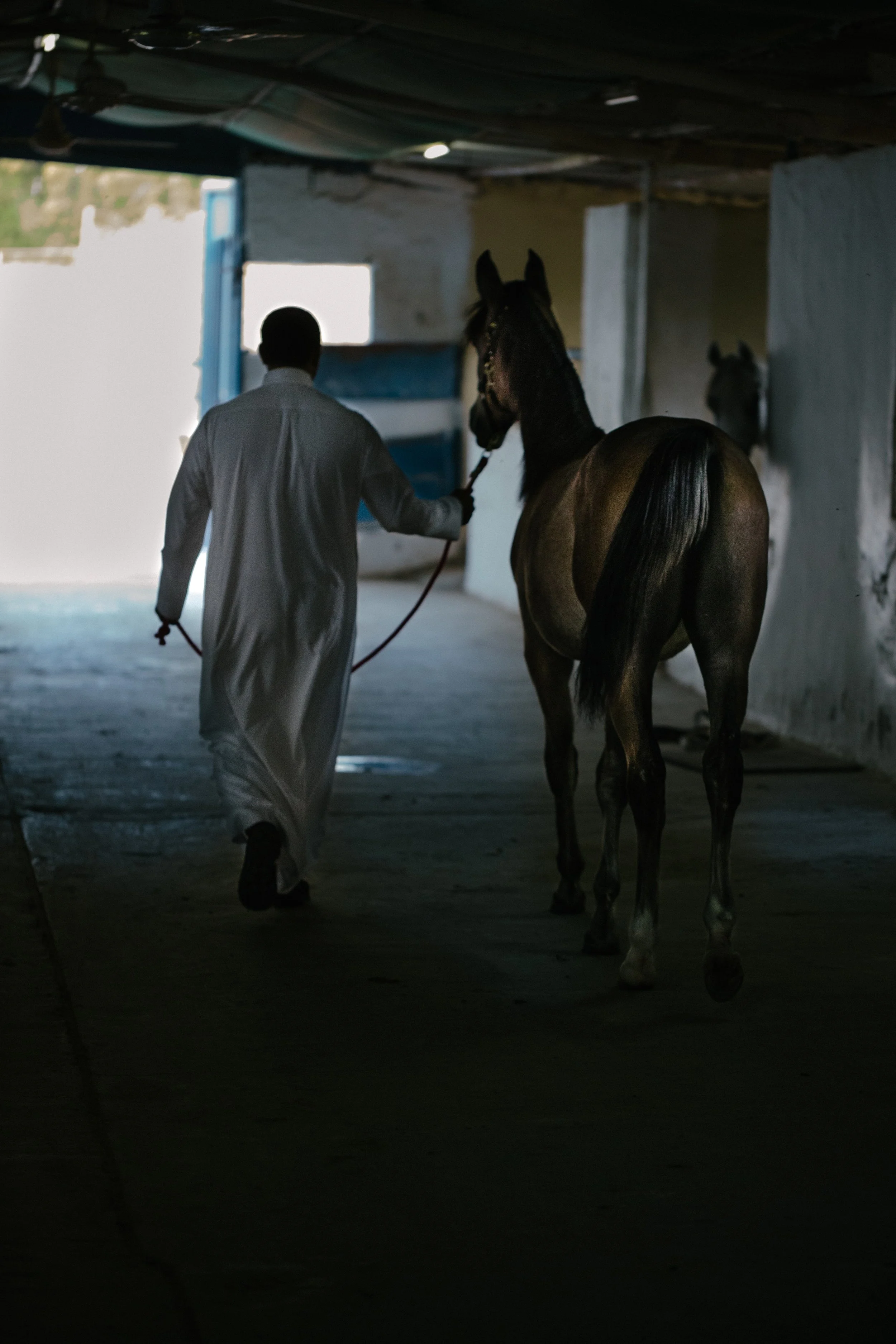 A man walking in a stable with two horses, one close to him and another in the background, with a dimly lit interior and some light coming from an opening.