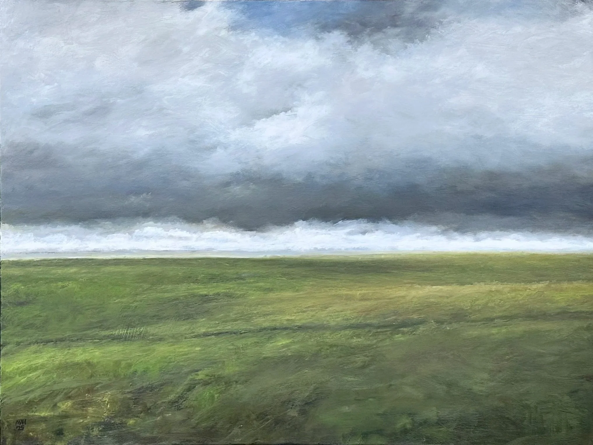Deep+Solitude+%28Colorado+Clouds%29++Michael+A+Hidalgo+40+x+30++oil+on+canvas++5-2025++IMG_9398.jpg