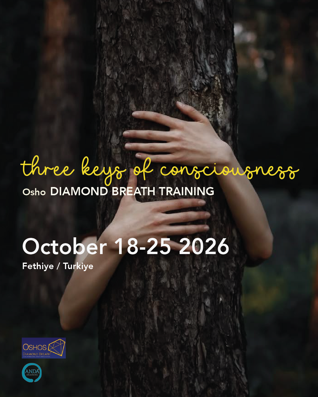 Image of two hands hugging a tree trunk with text overlay about a training event in Turkey from October 18-25, 2026, related to conscious awareness and breath training.