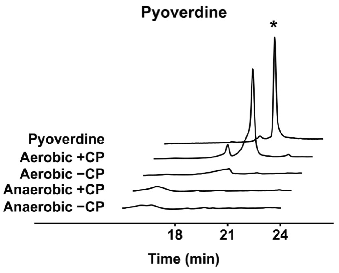 Graph showing the effect of different conditions on Pyoverdine production over time. The peaks are most prominent around 24 minutes.