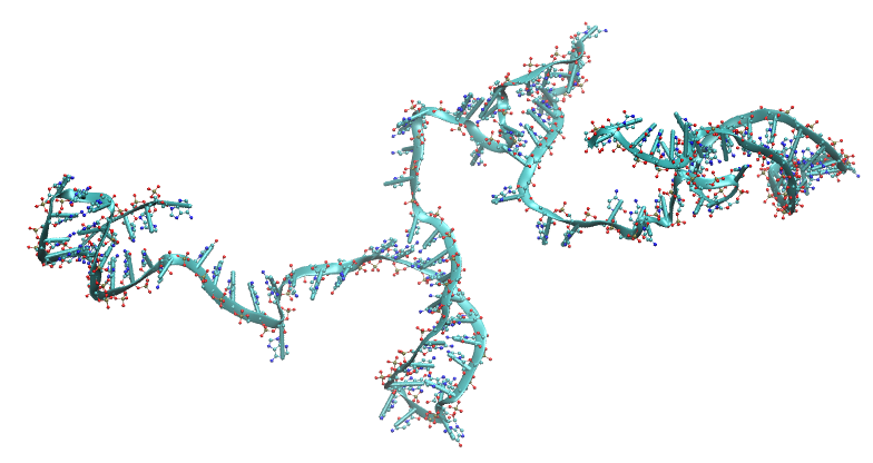 3D molecular model of a DNA double helix with colored atoms representing chemical elements.