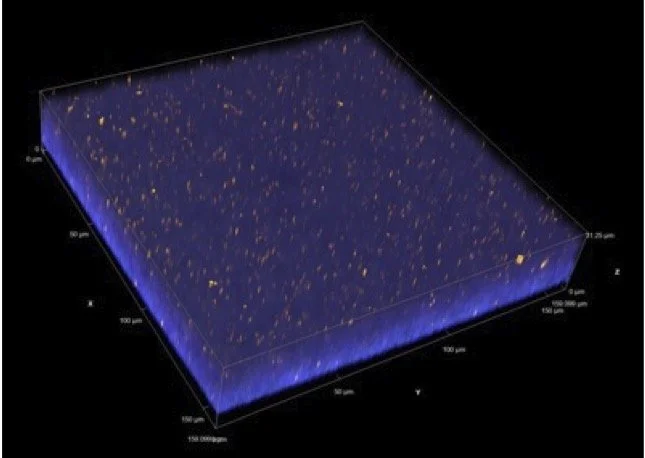 3D atomic force microscopy image showing surface topology with orange and yellow particles on a blue background.