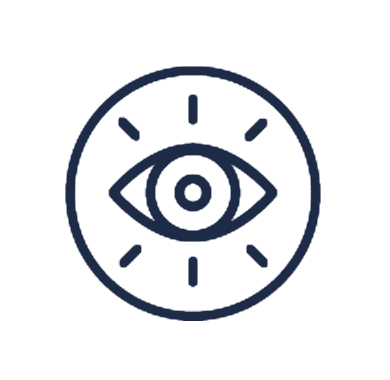 A stylized icon of an eye inside a circular shape with radiating lines, representing vision or observation.