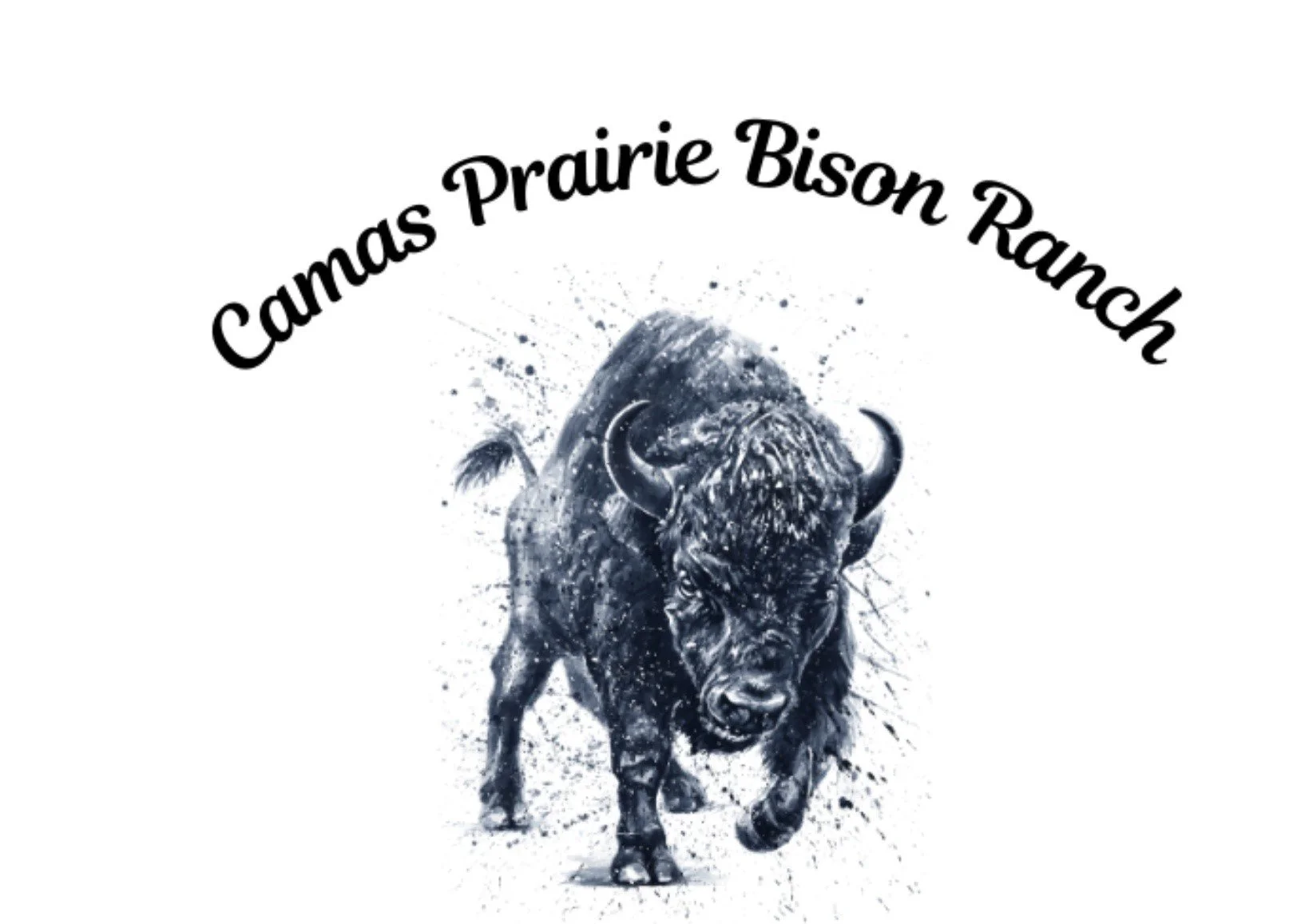 Camas Prairie Bison Logo.jpg