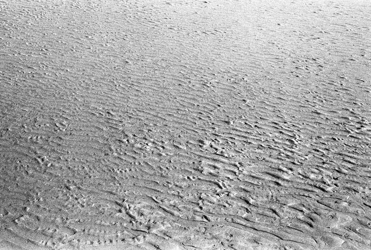 Scan022.jpg