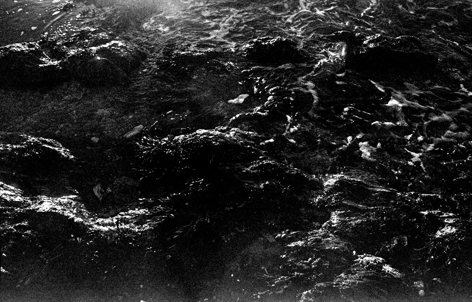 Scan014.jpg