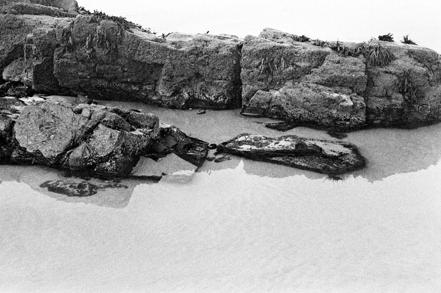 Scan020.jpg