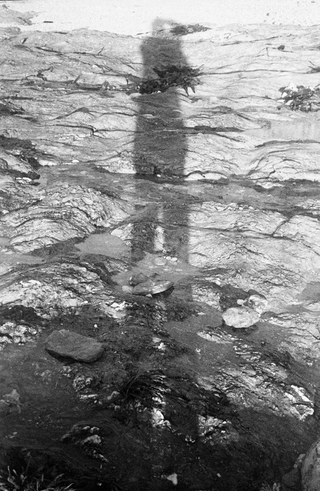 Scan010.jpg