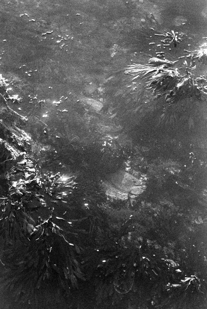 Scan013.jpg
