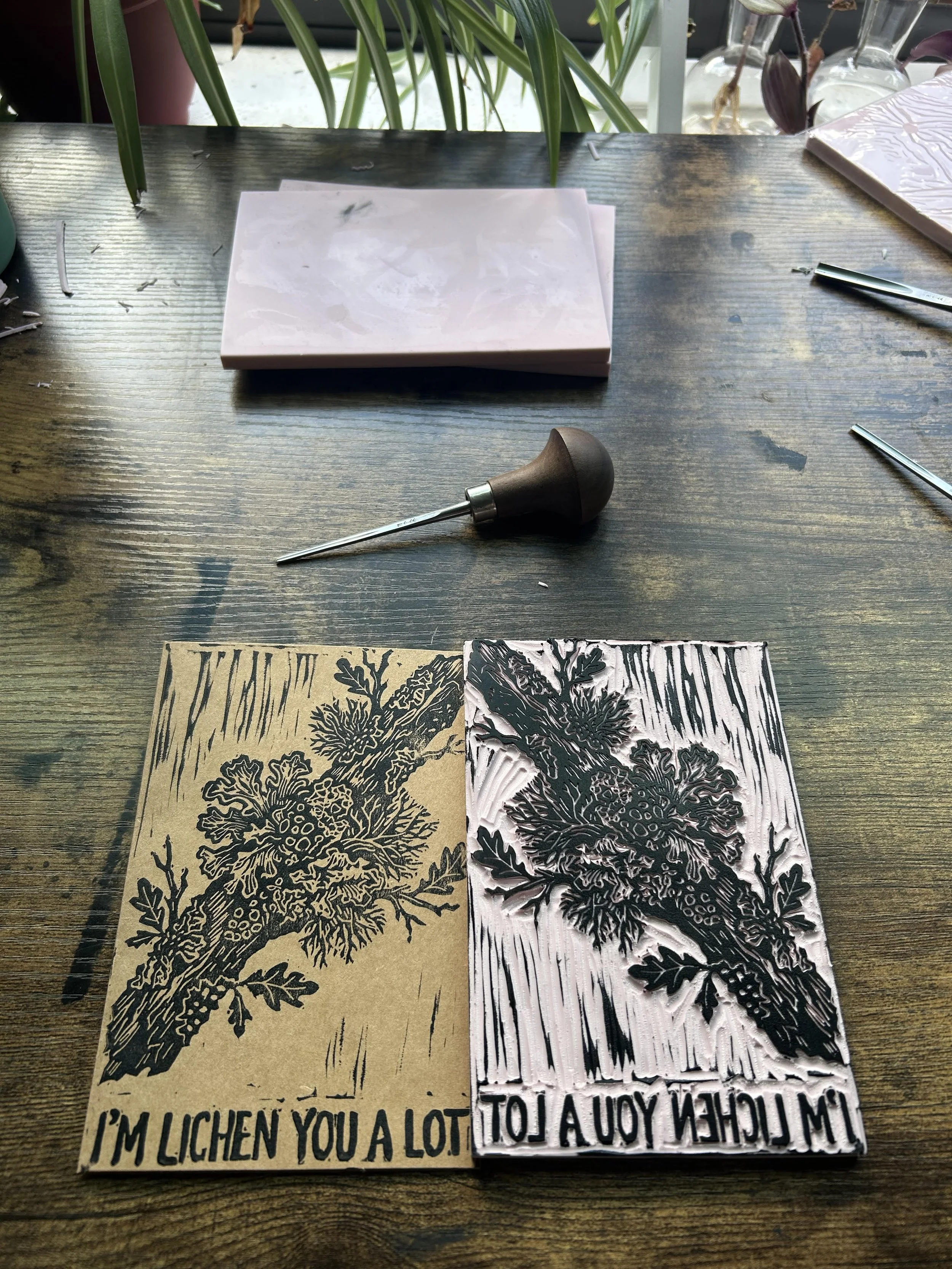 I'm Lichen You a Lot Greeting Card