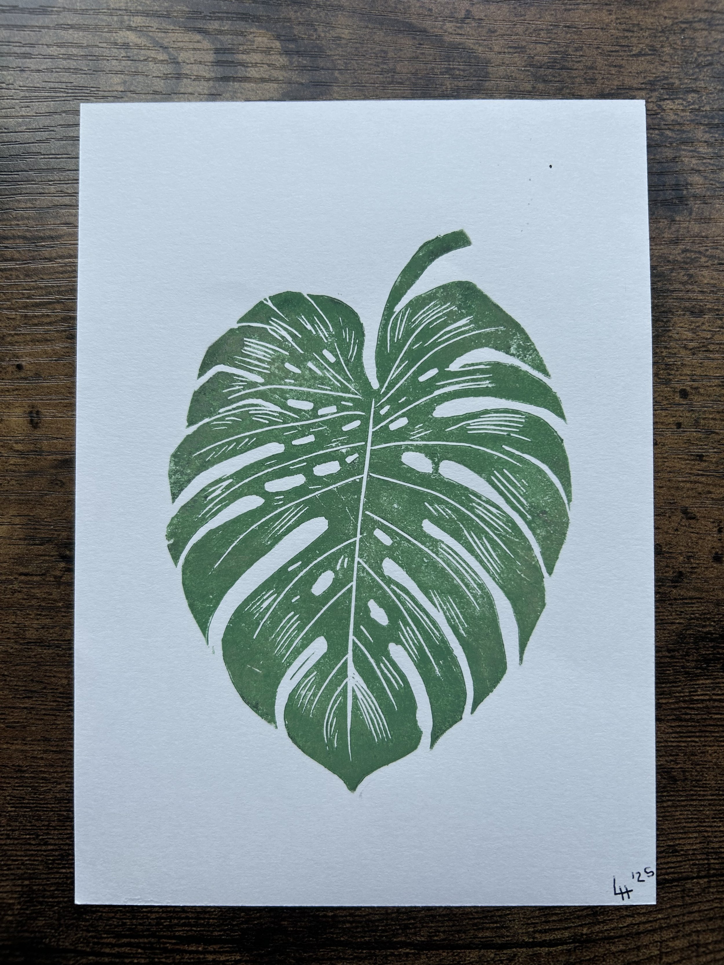 monstera.jpg