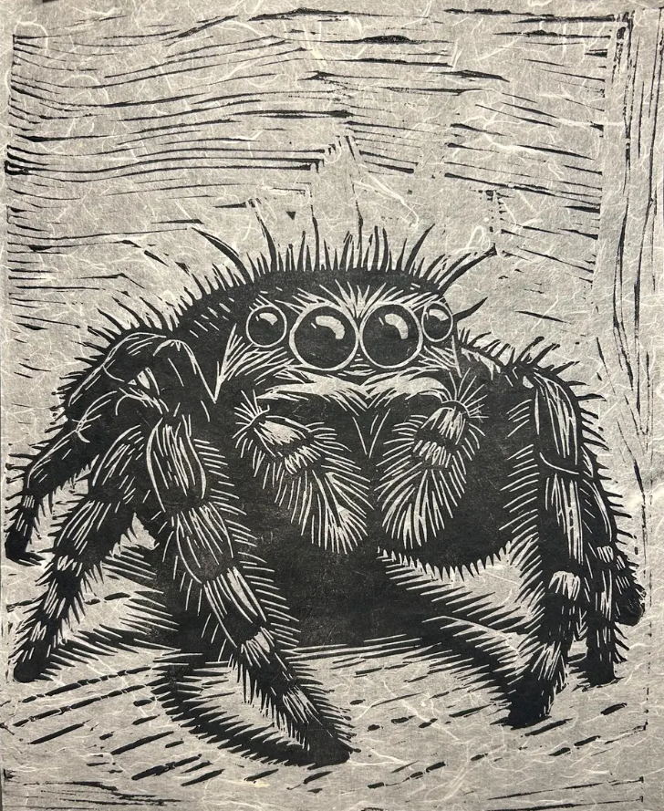 Jumping Spider