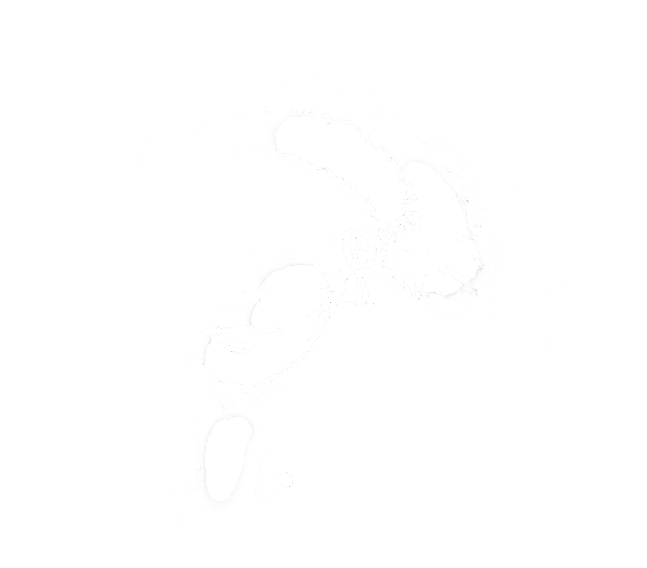 A line drawing of a Native American chief.