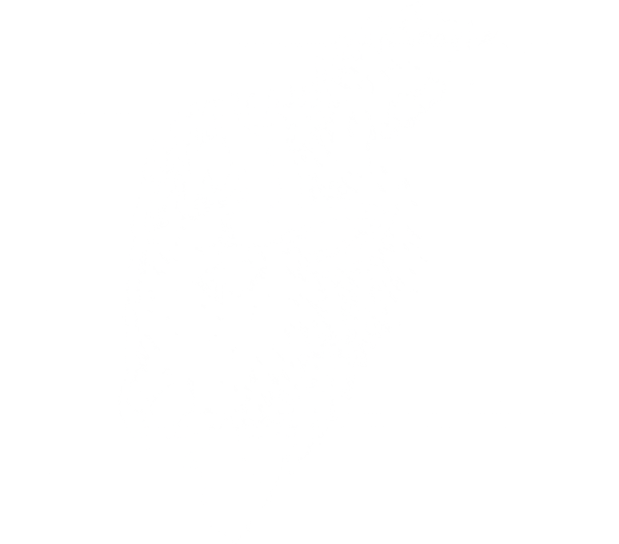 A line drawing of an American buffalo or bison.