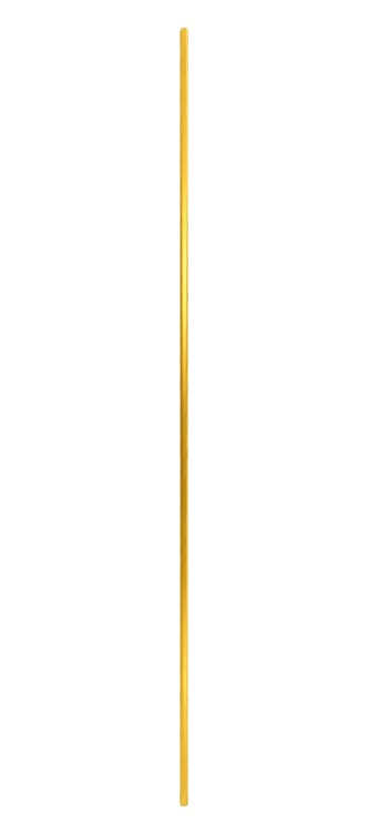 A close-up of a vertical yellow measuring stick with black markings on a black background.