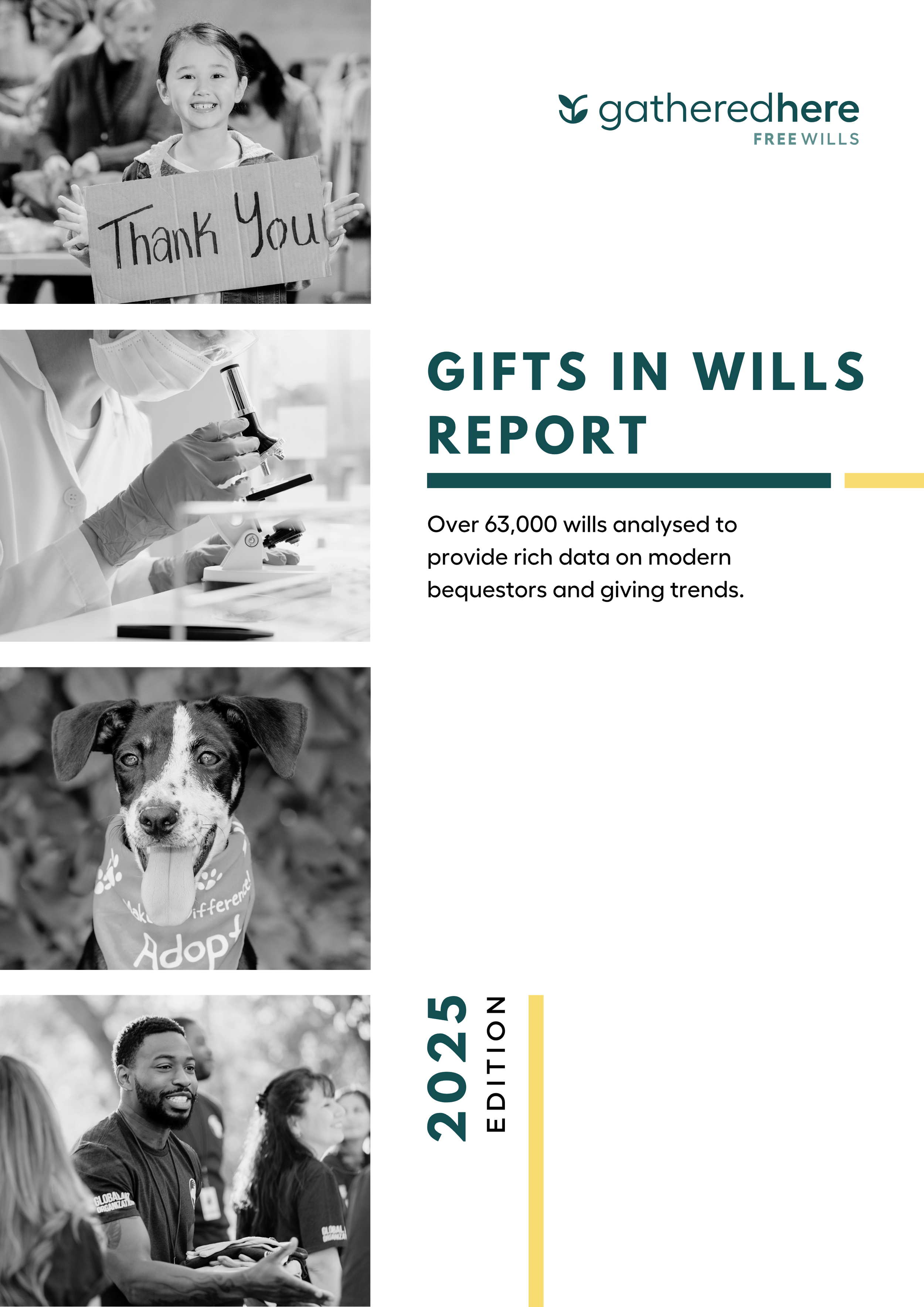 2025 GiW report.png
