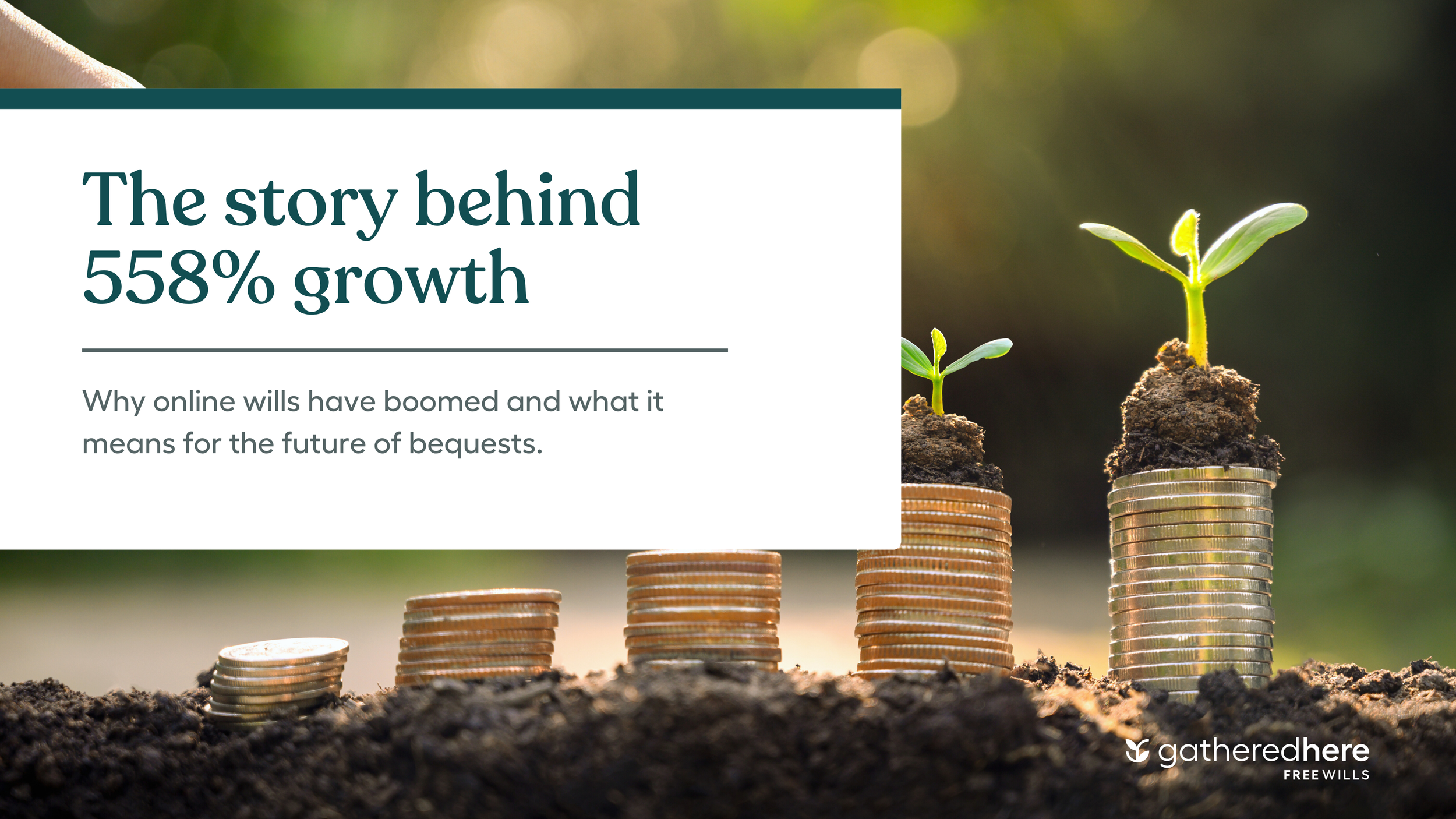 The story behind 558% growth.png