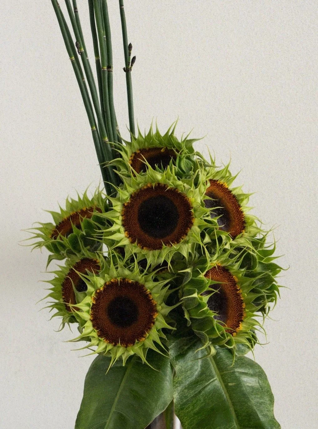 Petal-stripped sunflowers, horsetails, and tropical leaves. Modern and a little brutal.
Available for your home or next event &mdash; DM to book.